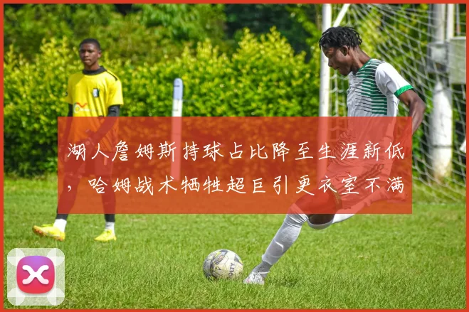 湖人詹姆斯持球占比降至生涯新低，哈姆战术牺牲超巨引更衣室不满